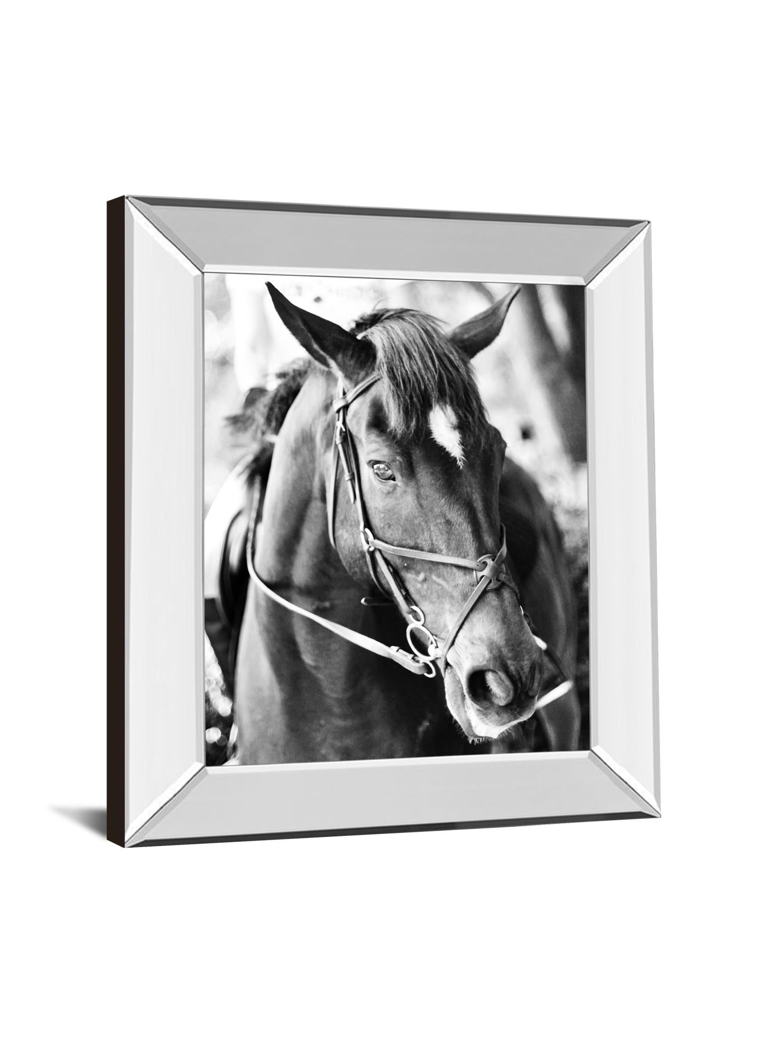 22X26 Mirror Frame Print