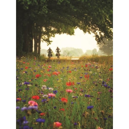 Giclee Canvas (Sold Separately)