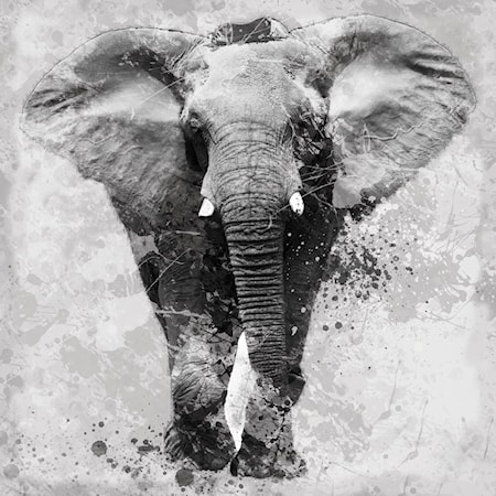 32 X 32 ELEPHANT WALL ART |