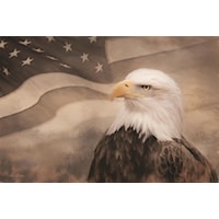 45X60 EAGLE & FLAG CANVAS |