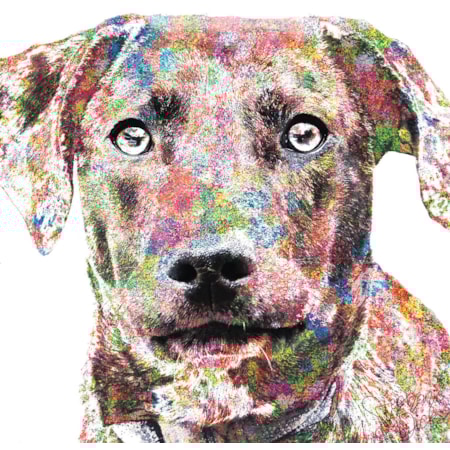 Giclee Canvas (Sold Separately)