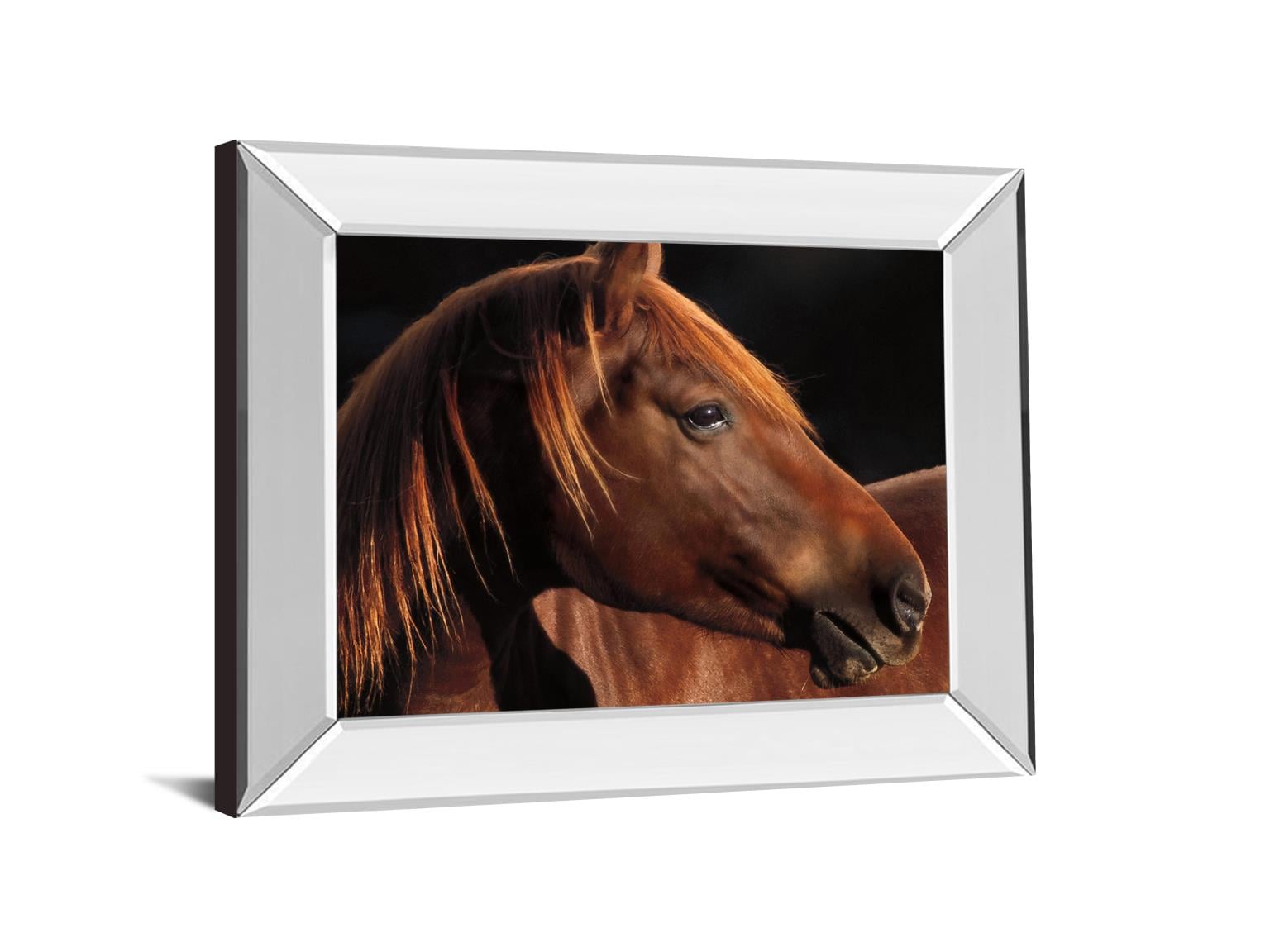 22X26 Mirror Frame Print