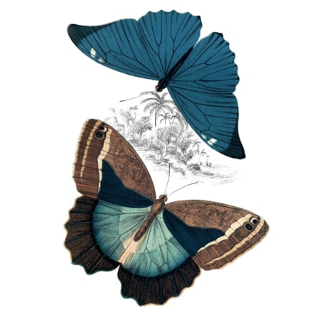 Giclee Canvas (Sold Separately)