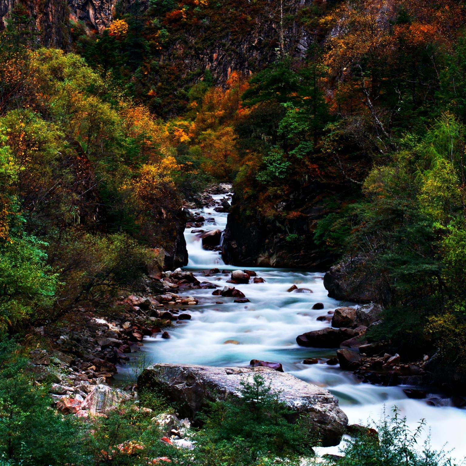 Giclee Canvas (Sold Separately)