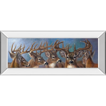 18X42 Mirror Frame Print