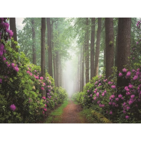 Giclee Canvas (Sold Separately)