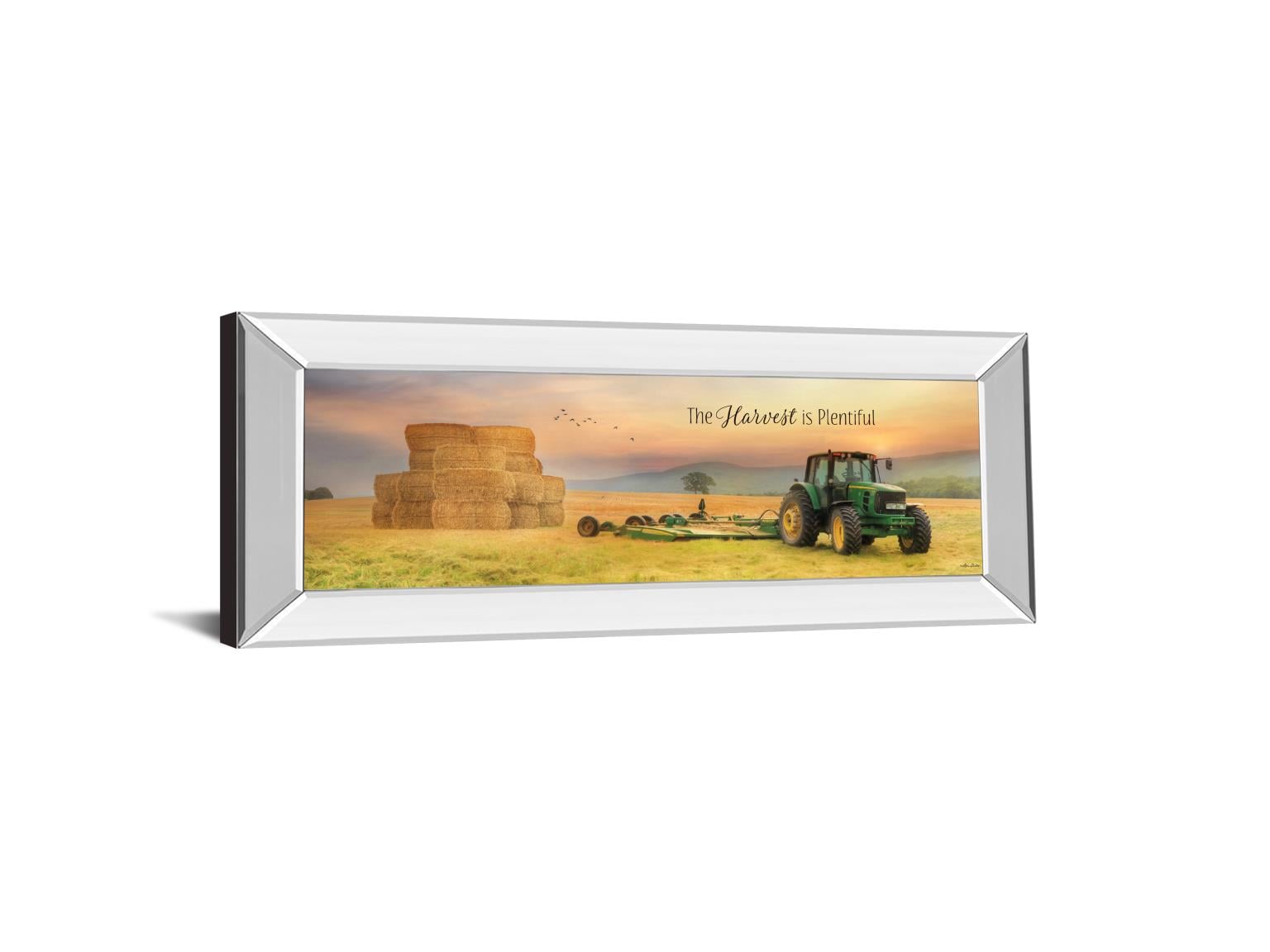 18X42 Mirror Frame Print