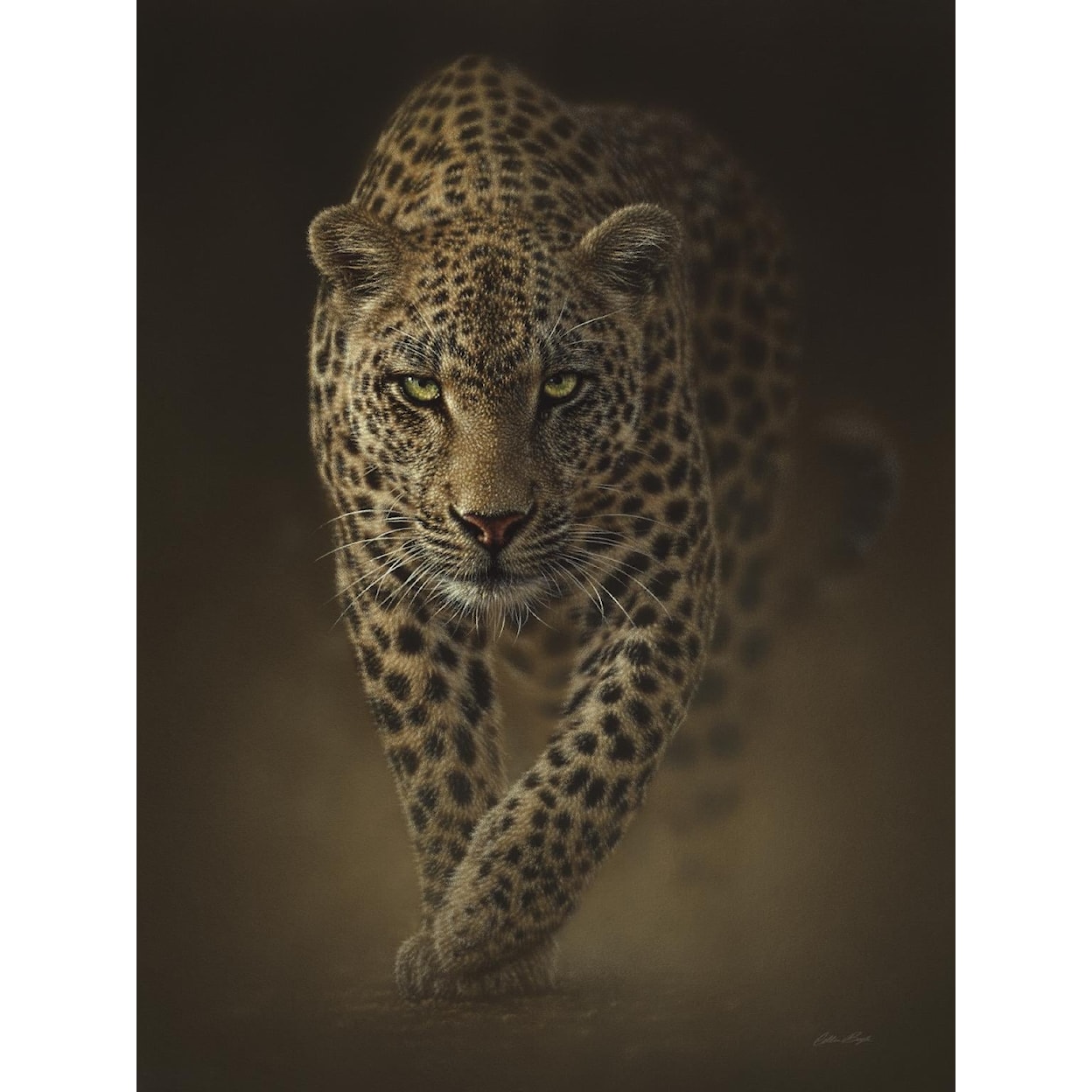 Classy Art Classy Art LEOPARD STALKING CANVAS |