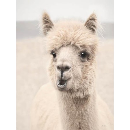 Giclee Canvas (Sold Separately)