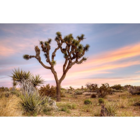 Giclee Canvas (Sold Separately)