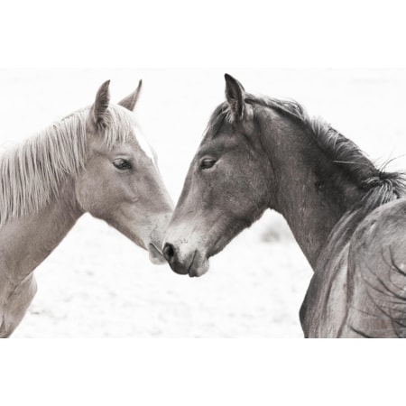 Giclee Canvas (Sold Separately)