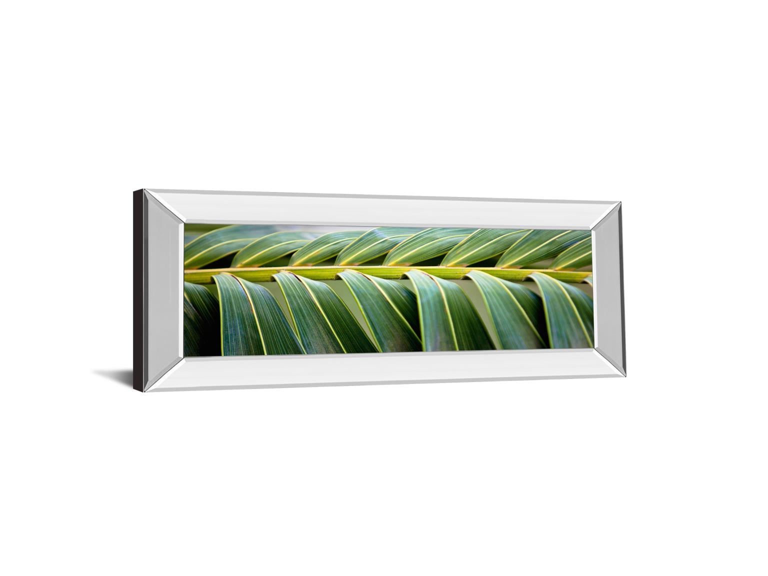 18X42 Mirror Frame Print