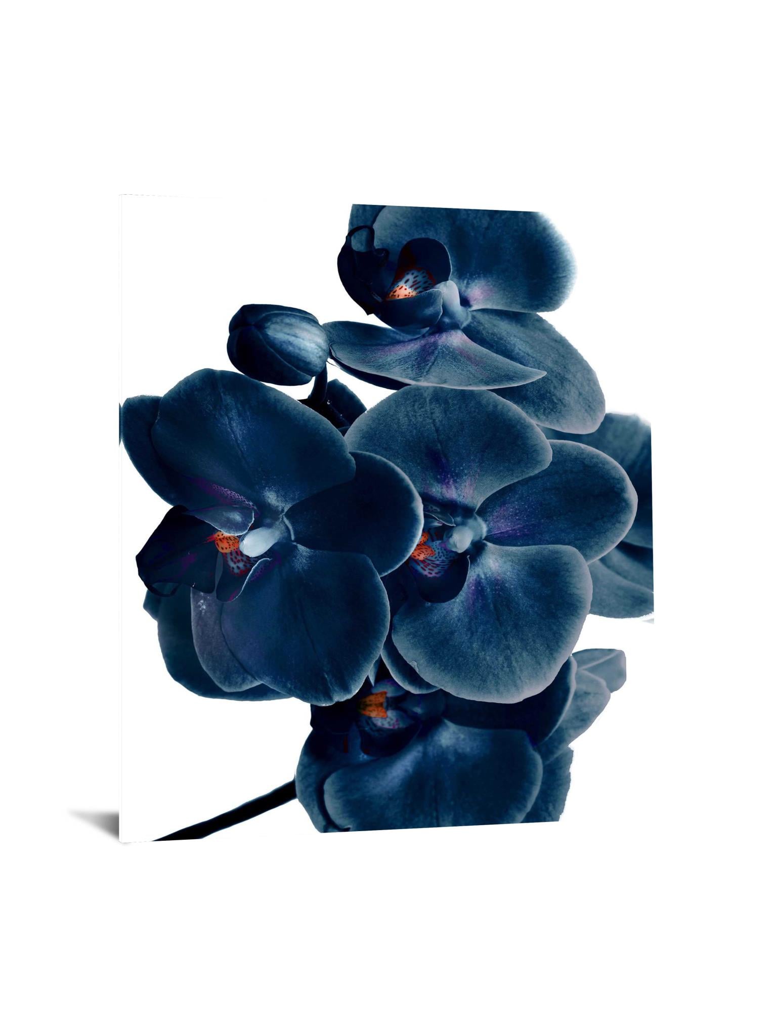 Classy Living Oil Painting Tempered Glass
