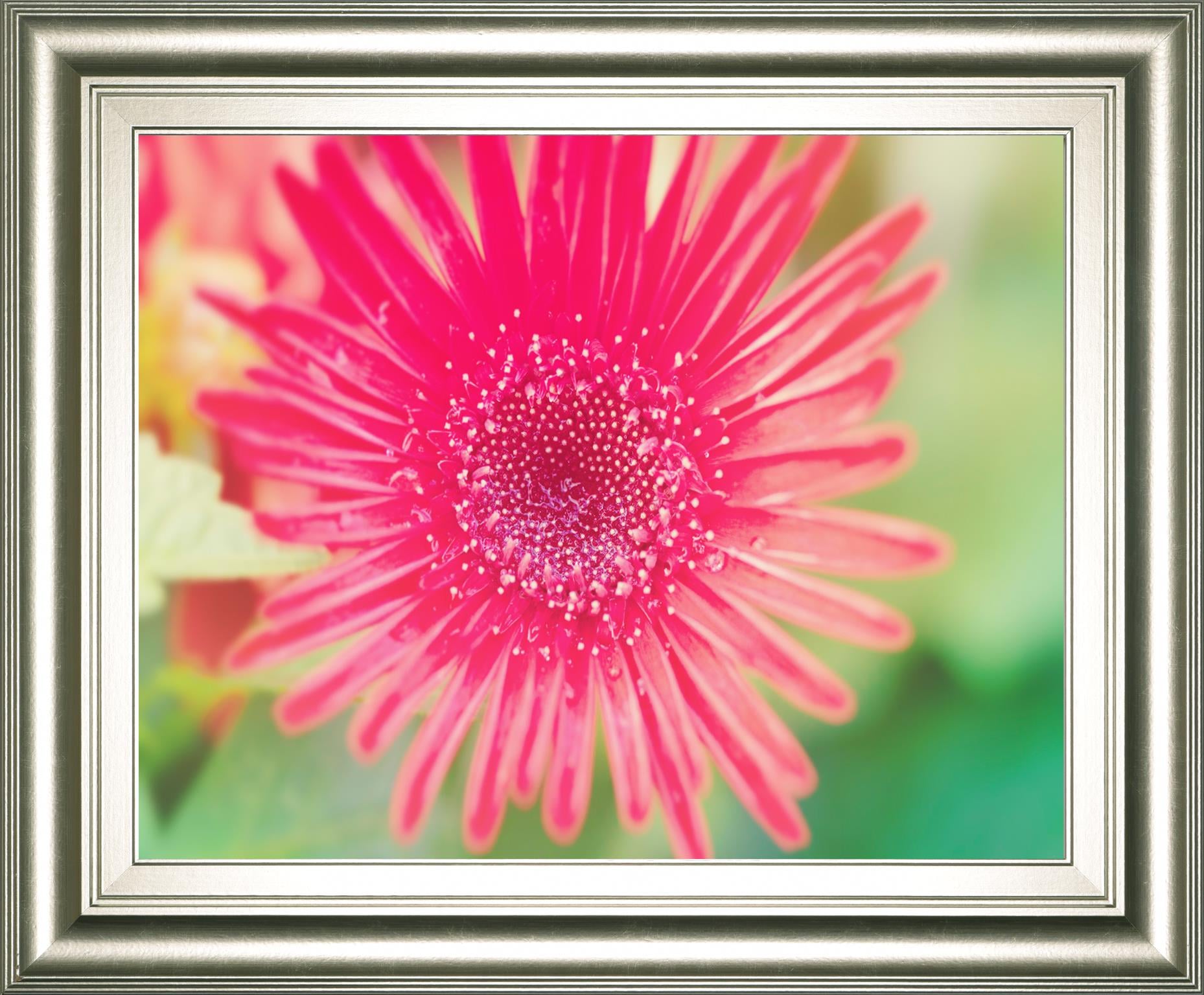 22X26 Framed Print