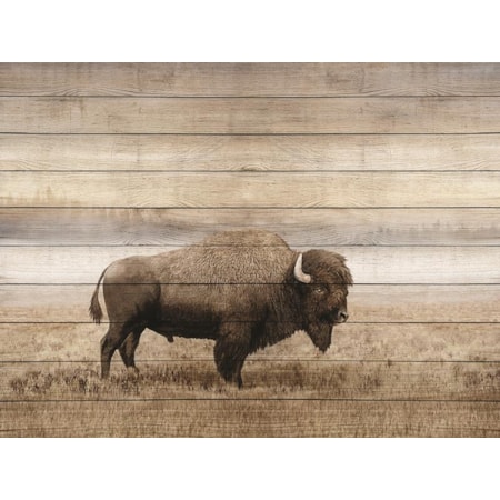 Giclee Canvas (Sold Separately)