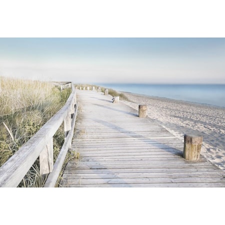 Giclee Canvas (Sold Separately)