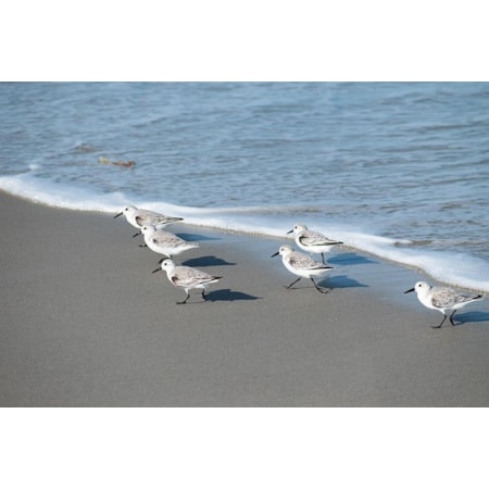 Giclee Canvas (Sold Separately)