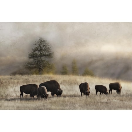 Giclee Canvas (Sold Separately)