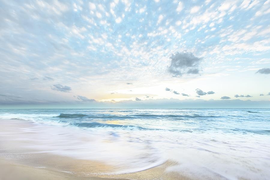 Giclee Canvas (Sold Separately)