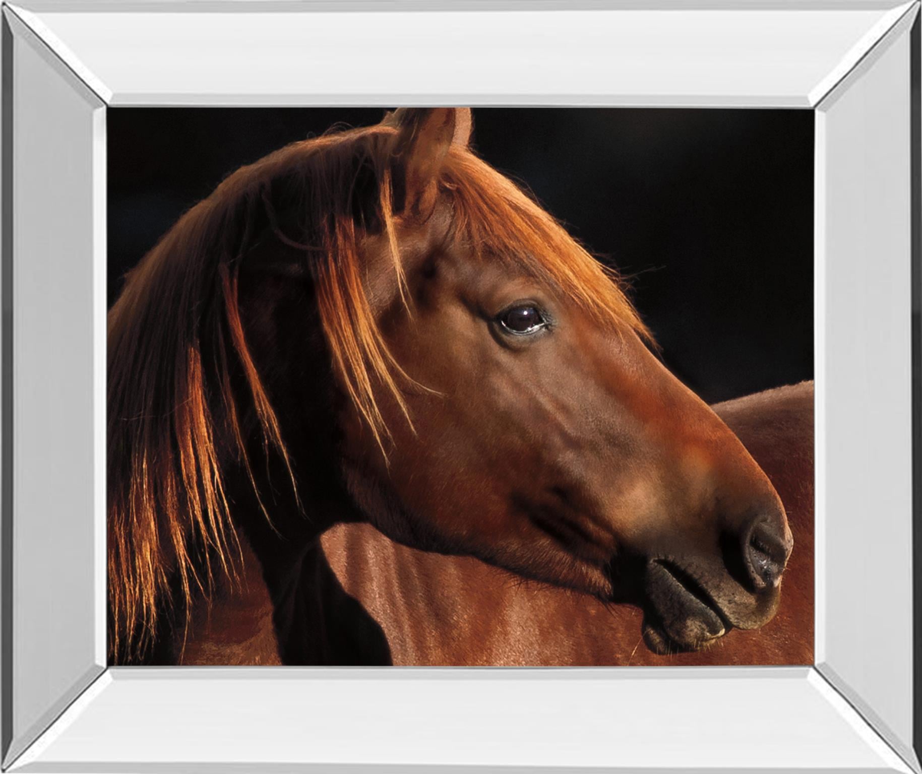 22X26 Mirror Frame Print