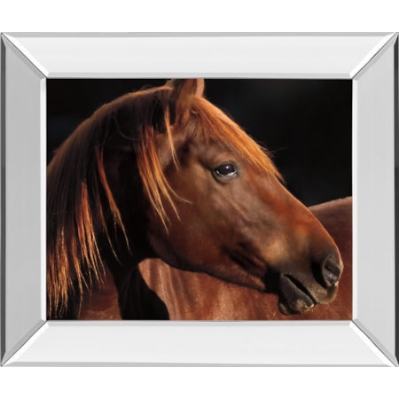 22X26 Mirror Frame Print