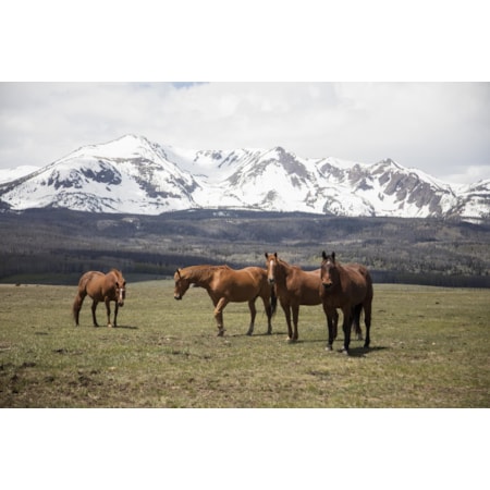 Giclee Canvas (Sold Separately)