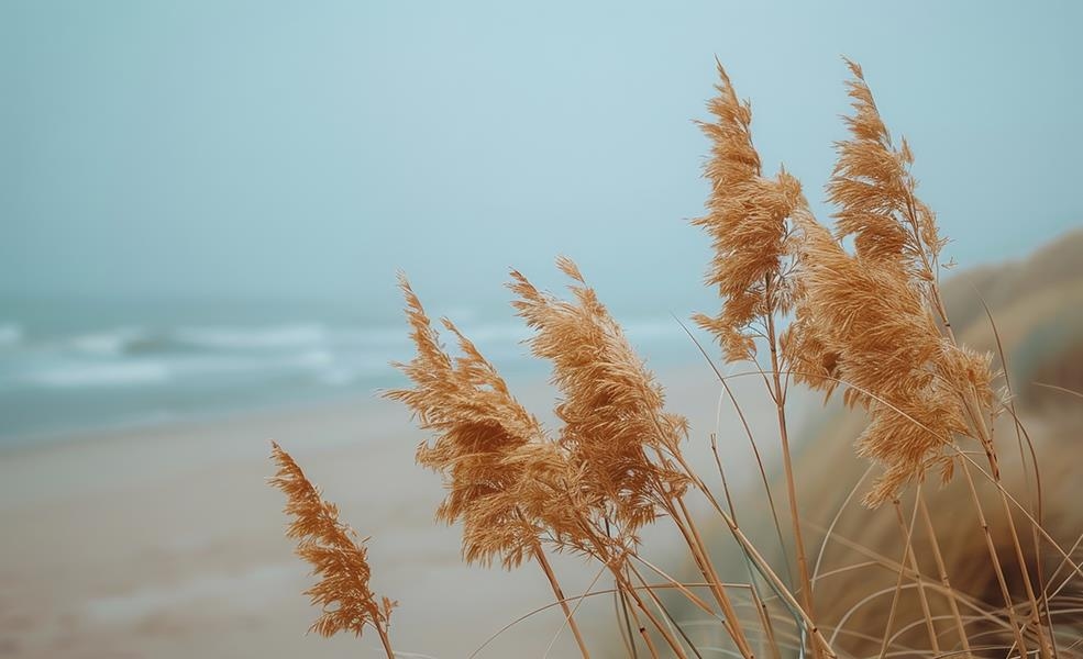 Giclee Canvas (Sold Separately)