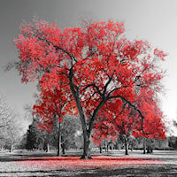 RED TREE GLASS FOIL WALL ART |