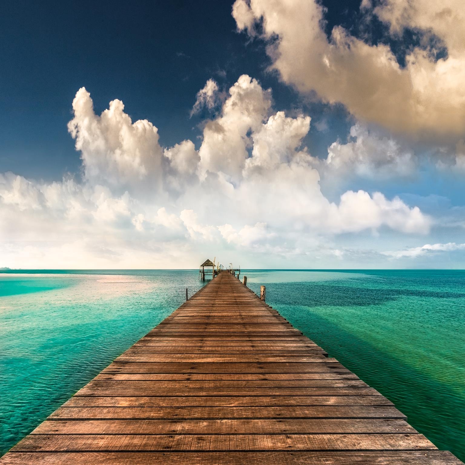 Giclee Canvas (Sold Separately)