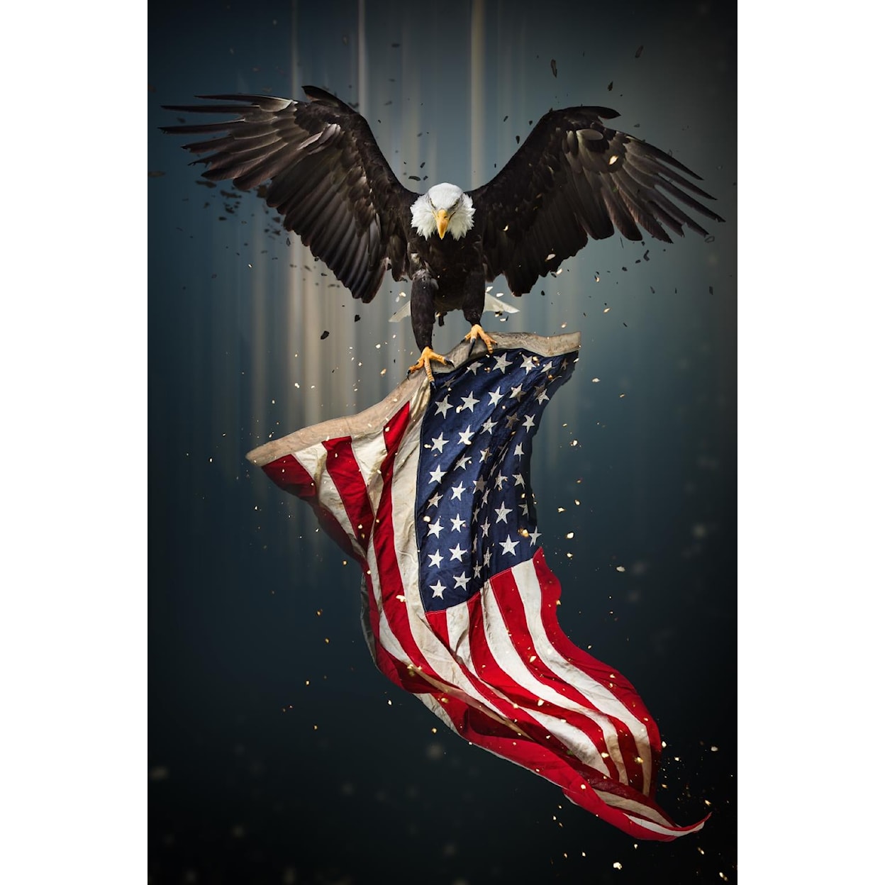 Classy Art Classy Art EAGLE RISING 45X60 CANVAS | .