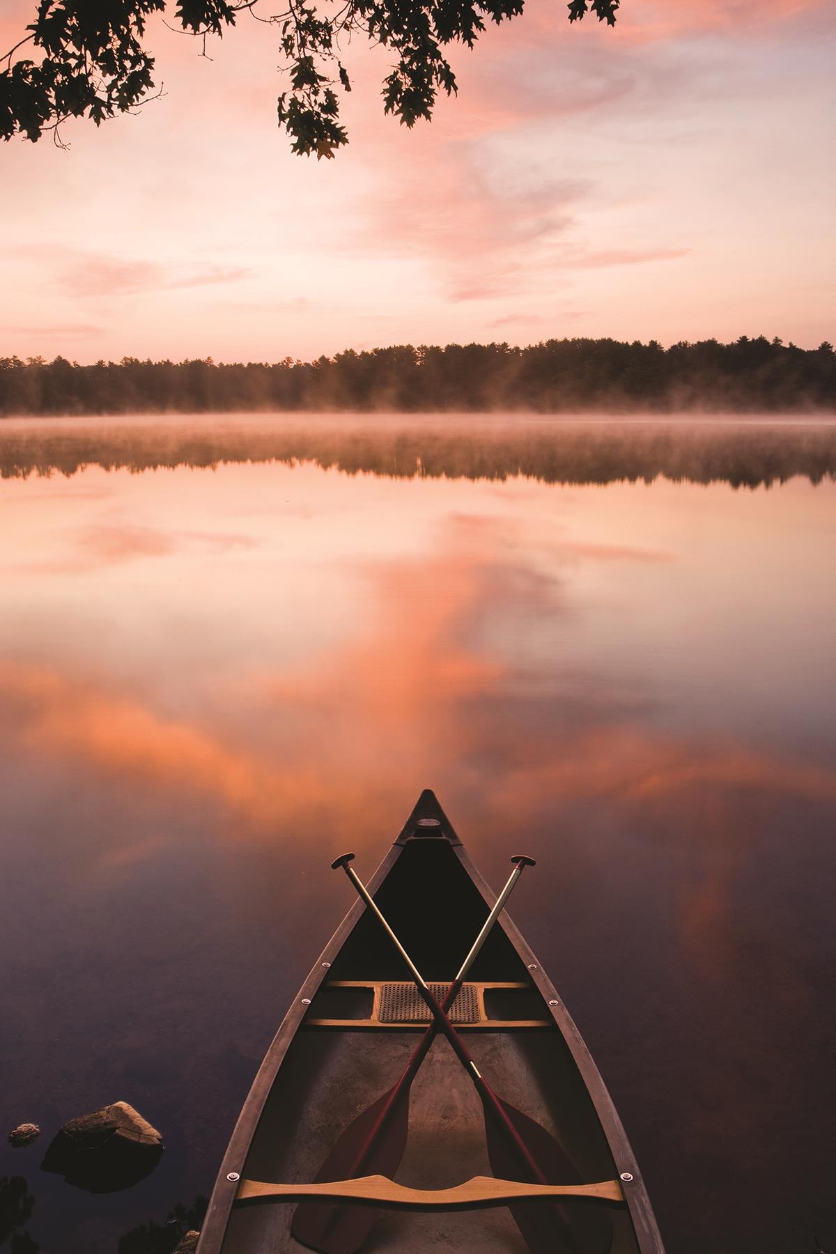 Giclee Canvas (Sold Separately)