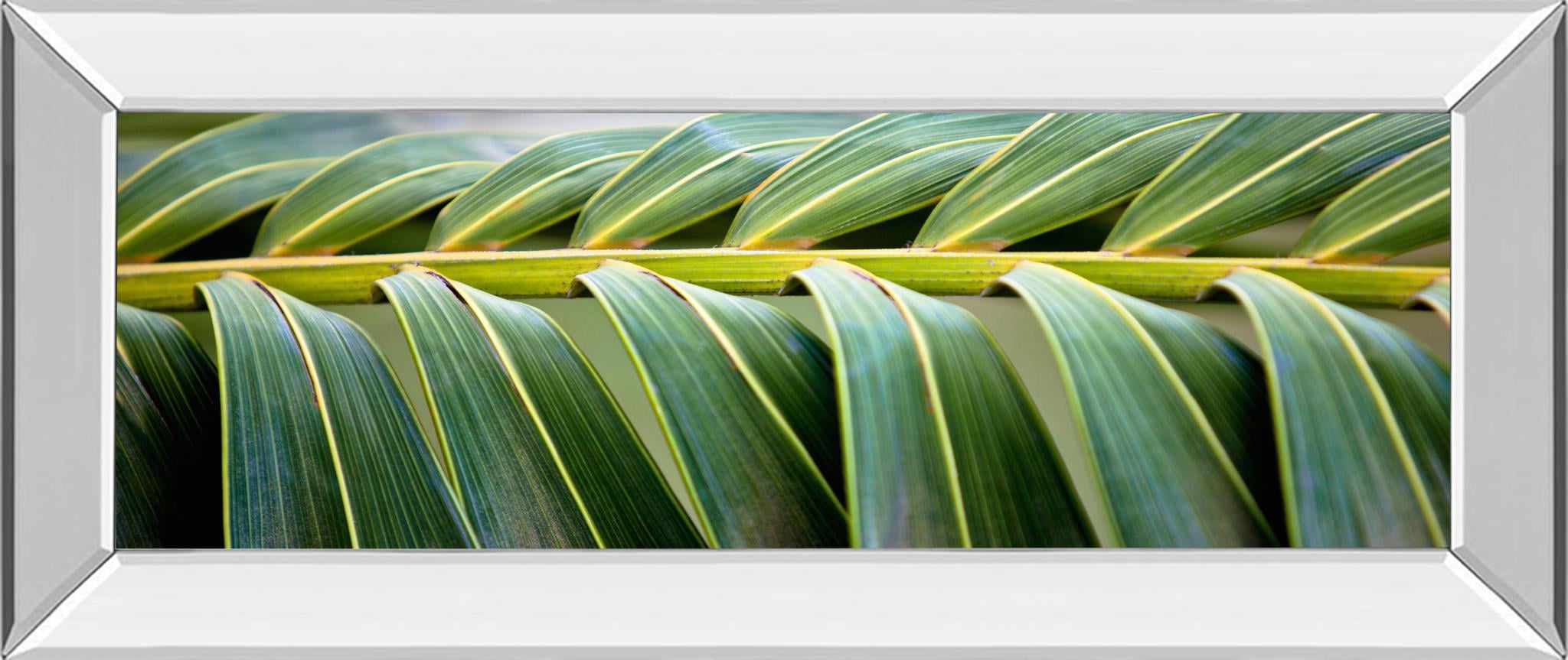 18X42 Mirror Frame Print