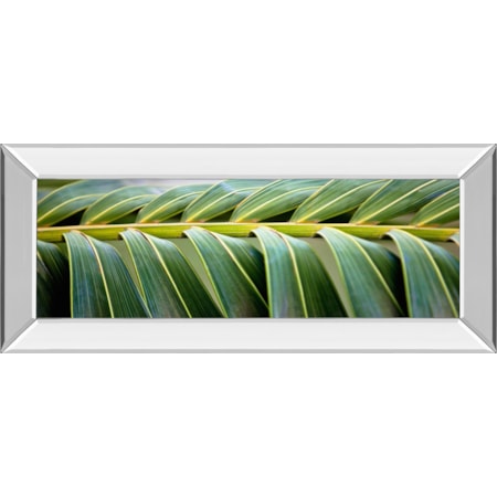 18X42 Mirror Frame Print