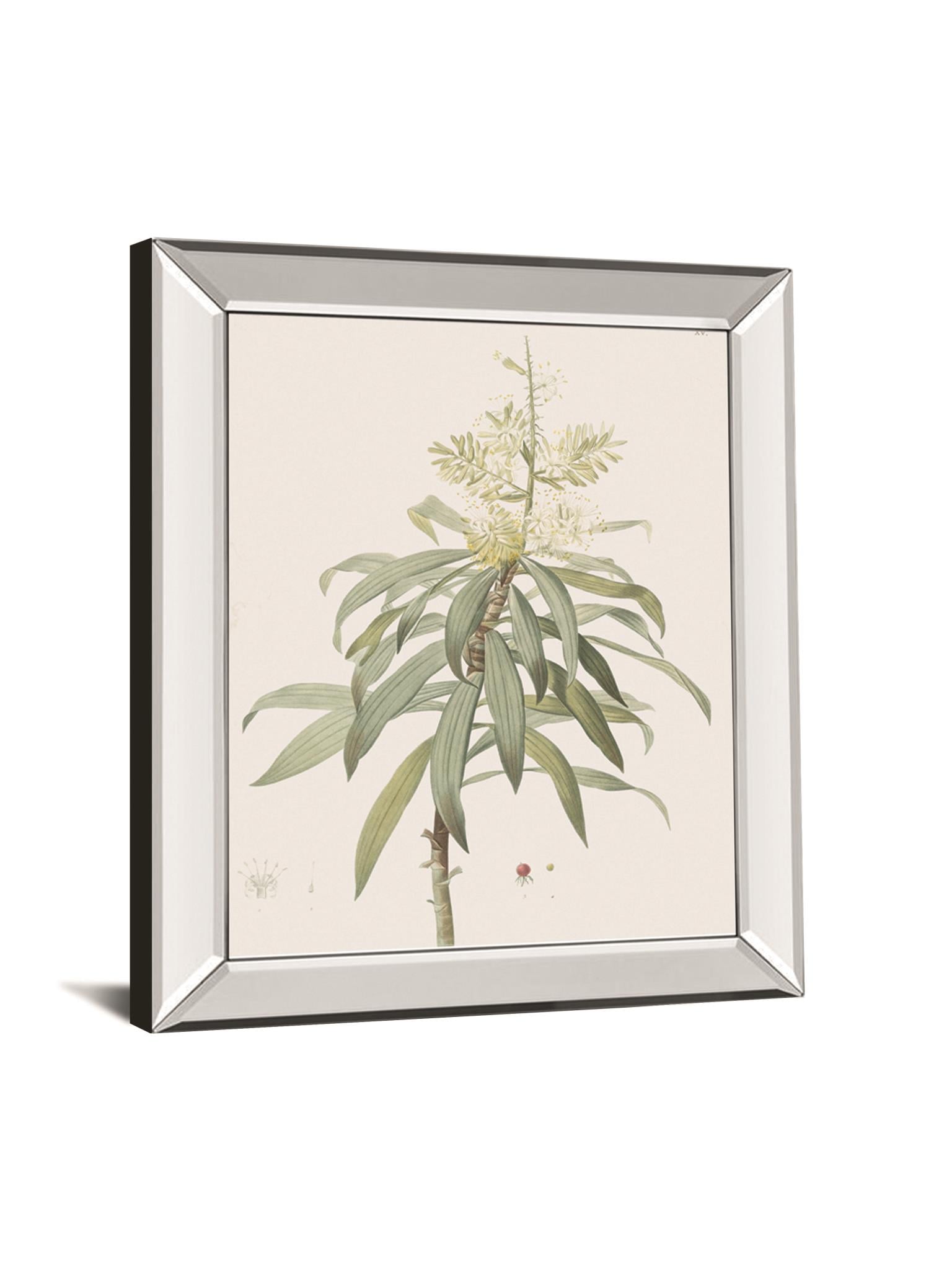 8675MF 22X26 Mirror Frame Print | 7 Day Furniture | Wall Art