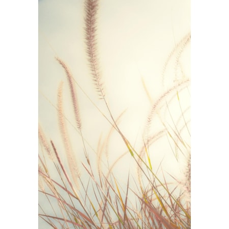 Giclee Canvas (Sold Separately)