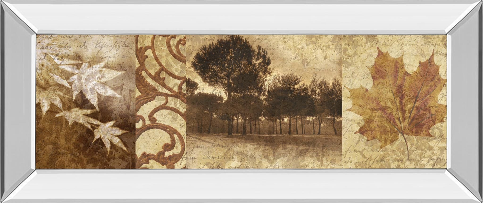 18X42 Mirror Frame Print