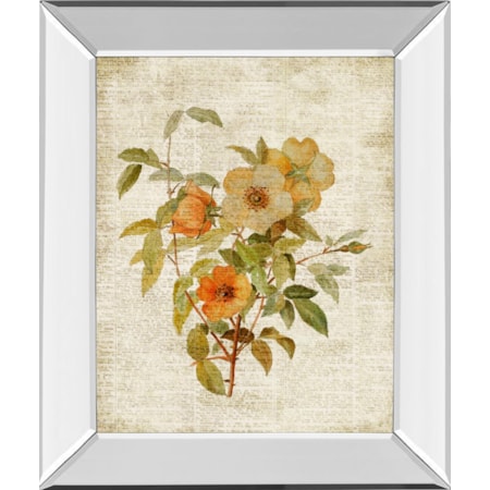 22X26 Mirror Frame Print