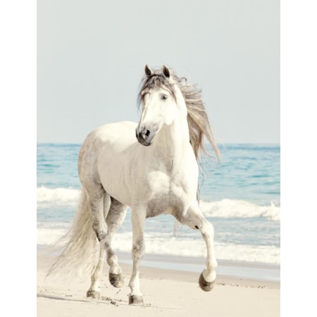 Giclee Canvas (Sold Separately)