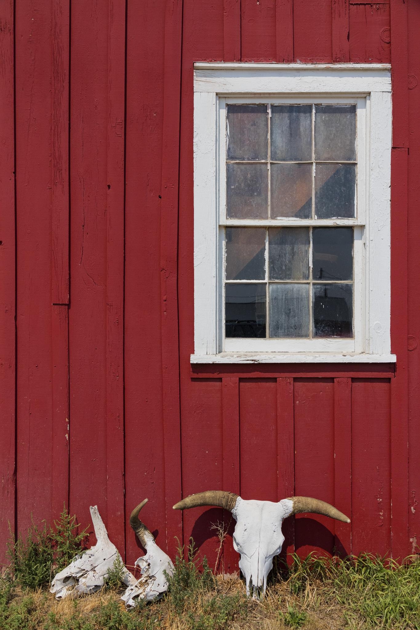 Giclee Canvas (Sold Separately)