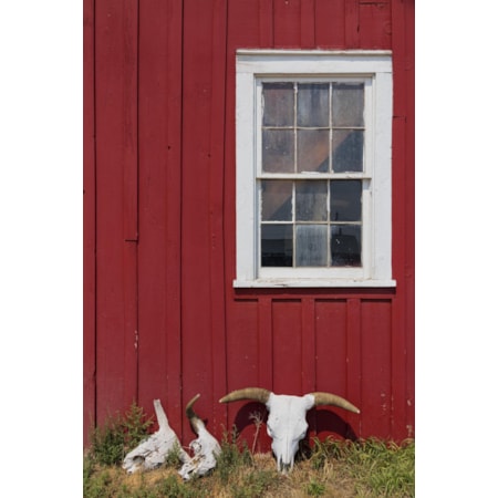 Giclee Canvas (Sold Separately)