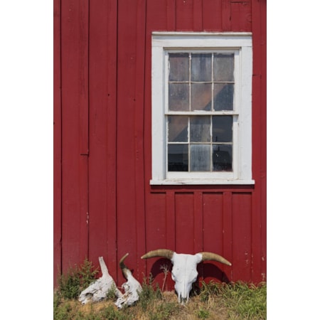 Giclee Canvas (Sold Separately)