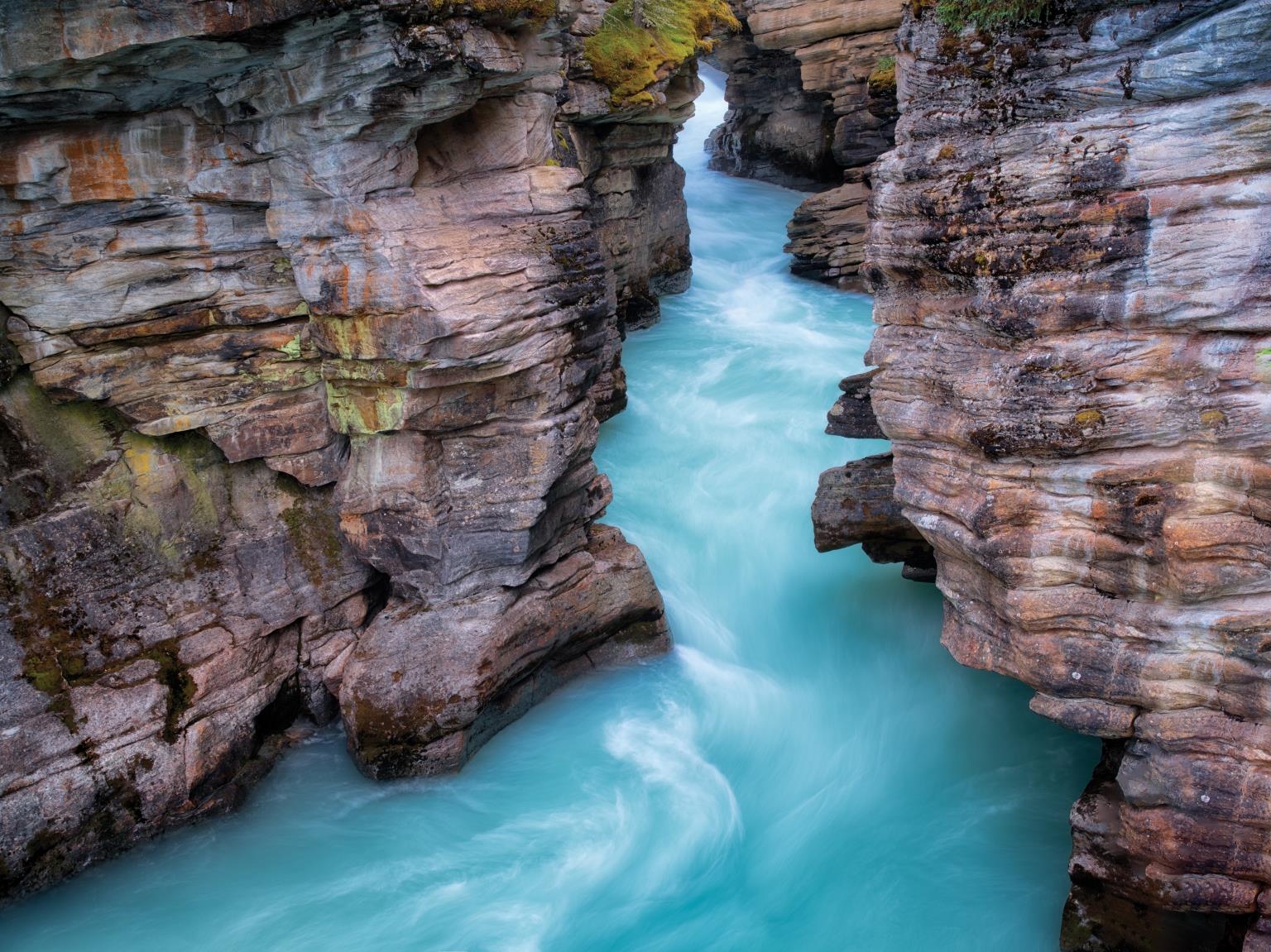 Giclee Canvas (Sold Separately)