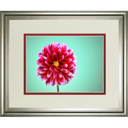 34X40 Framed Print