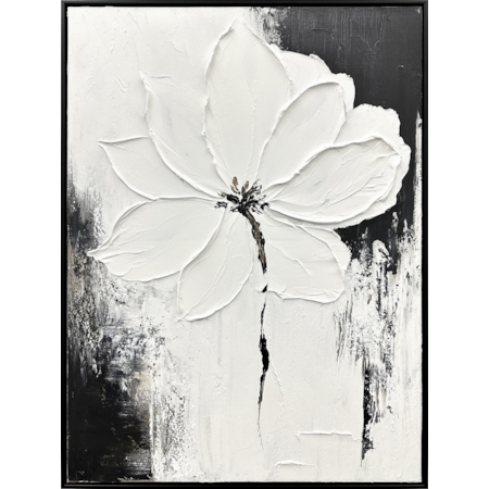 Curated Canvas
