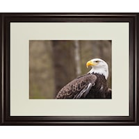 Framed Print 34x40