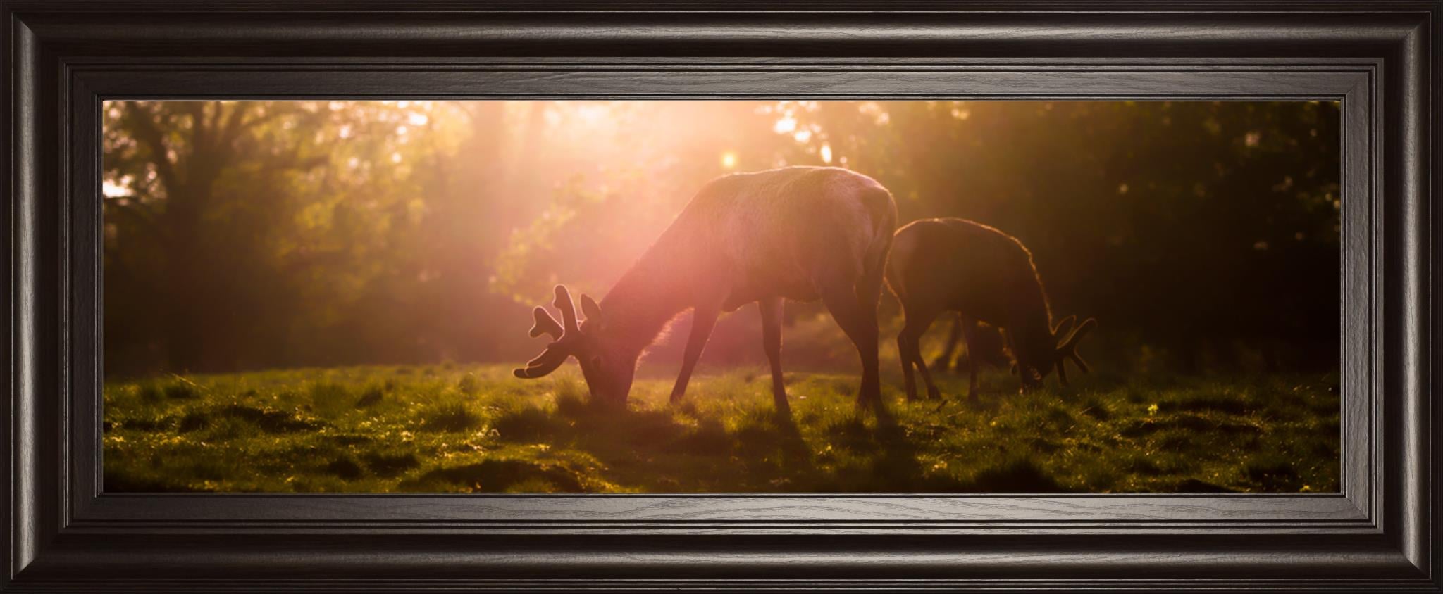 18X42 Framed Print