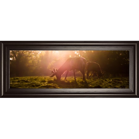 Framed Print 18x42