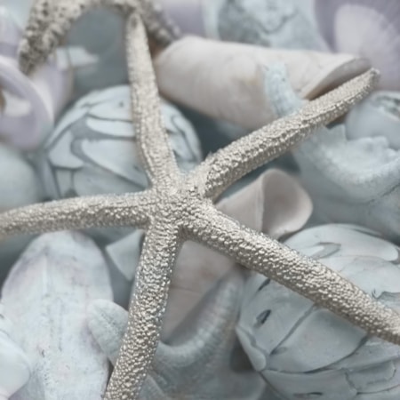 Giclee Canvas (Sold Separately)