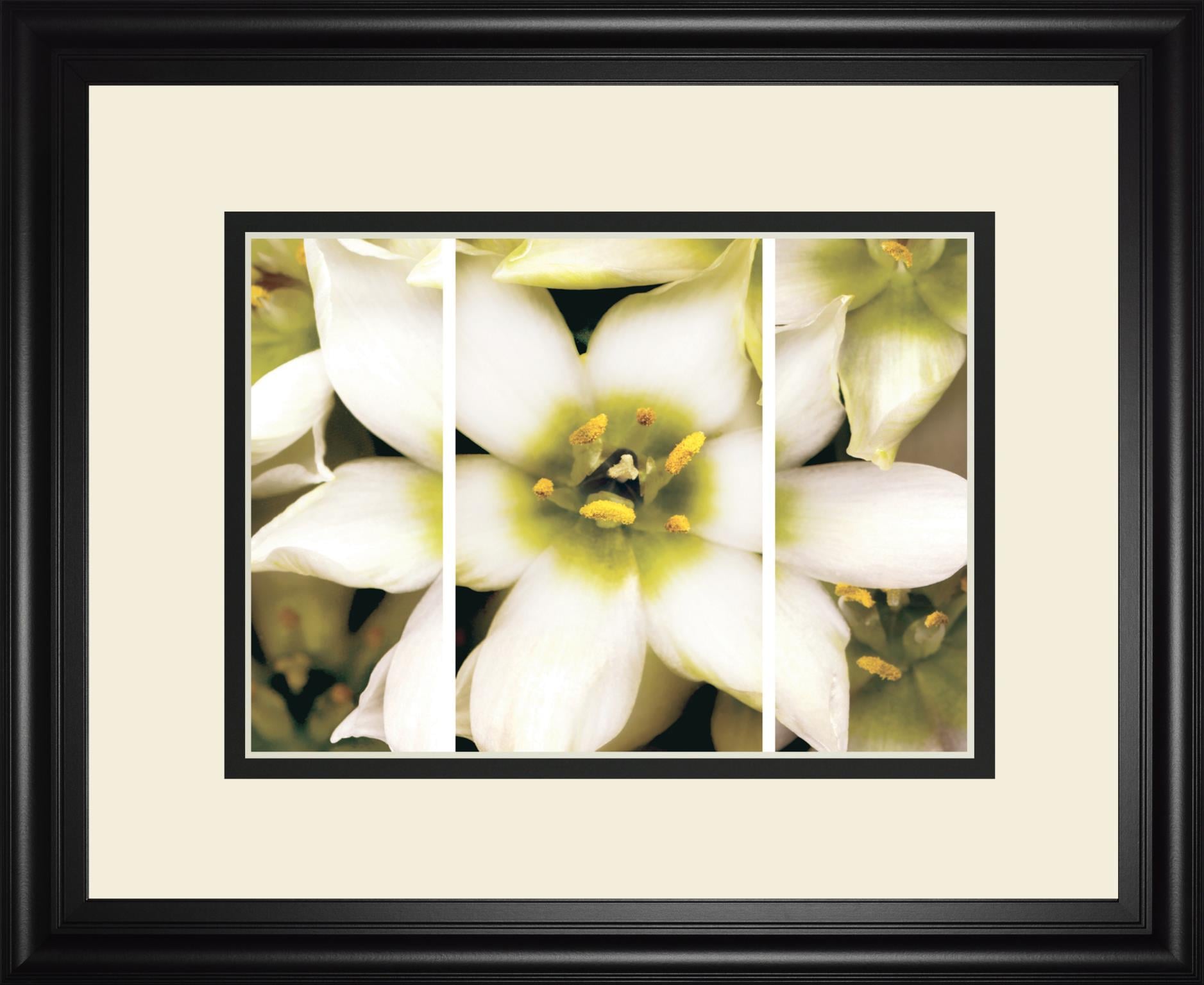 34X40 Framed Print