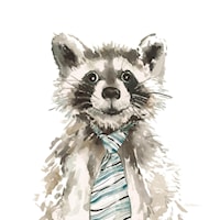 24X24 KID RACOON |